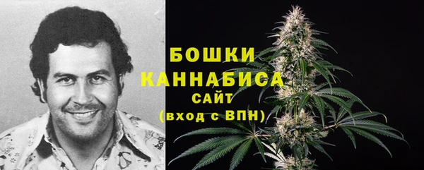 соль курить ск Новозыбков